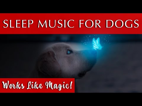Sleep Music for Dogs Black Screen | 432Hz Tuning