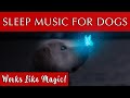 Sleep Music For Dogs Black Screen 432Hz Tuning