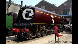 Dakota’s Halloween costume