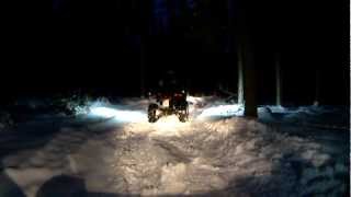 preview picture of video 'Yamaha Grizzly 660 and Goes 520 atv driving in forest at snow'