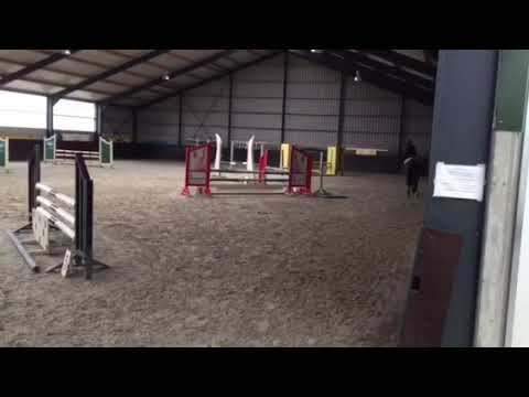 Manuel Albano - Dynamite Napoleon 4 yo ( Lordanos x Balou du ruet )