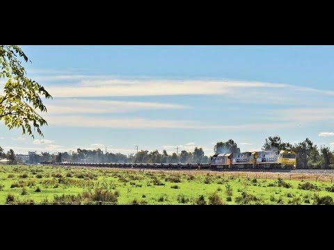 Pacific National Steel train hauled by NR53+NR105+AN8 at Forbes, NSW