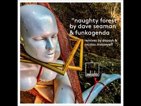 Dave Seaman & Funkagenda   Naughty Forest Nicolas Masseyeff Remix Snippet