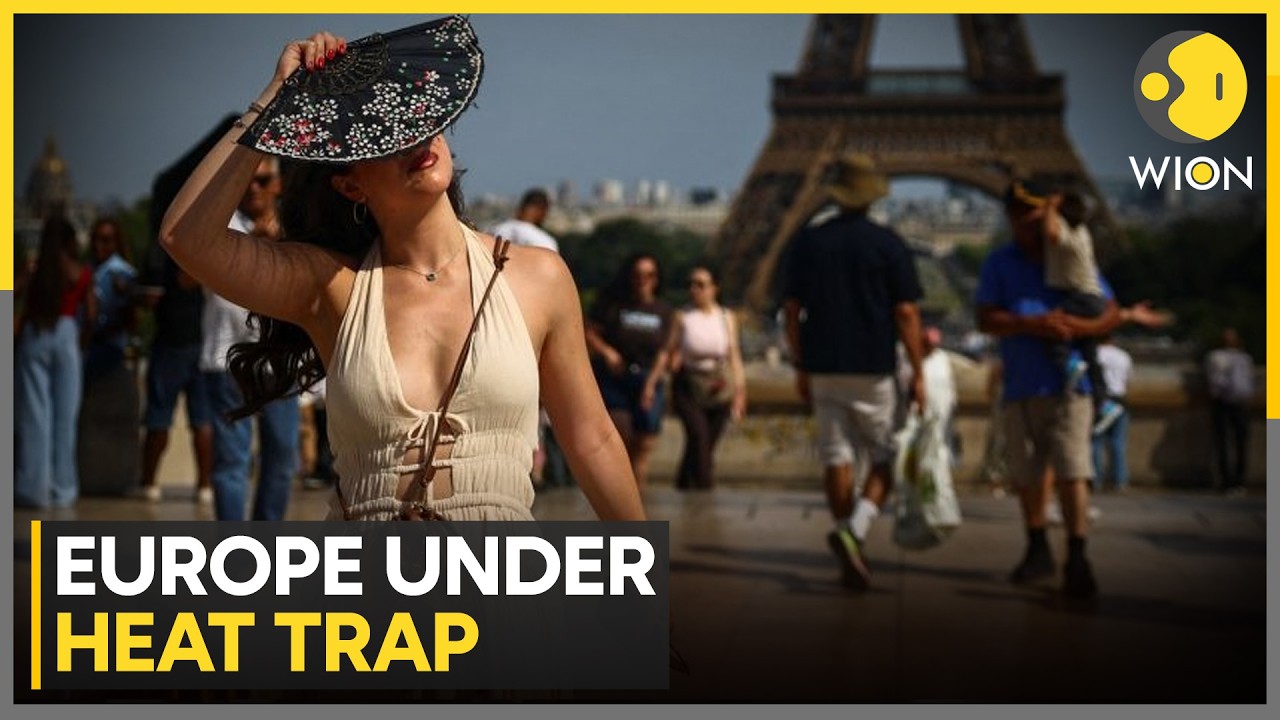 France Heatwave: Two Children Found Dead In Car | WION News