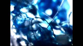 Bandulu - Phase In Remix (Unofficial Video)