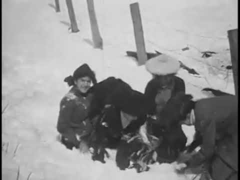 A Winter Straw Ride (1906) Edison