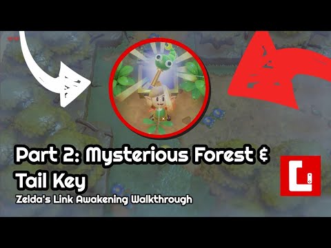 Zelda: Link’s Awakening Story Part 2: Mysterious Forest Getting The Tail Key