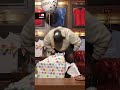KG Gets SPECIAL Birthday Gift