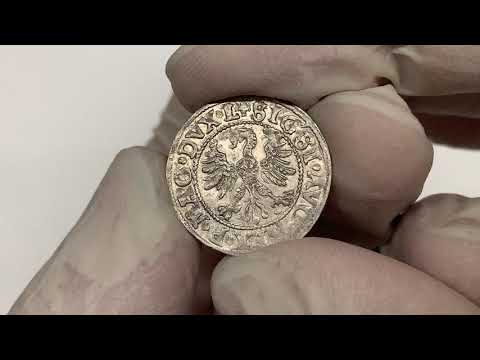 Zygmunt II August, Półgrosz Wilno 1546 - błąd SIGSI - b.rzadki