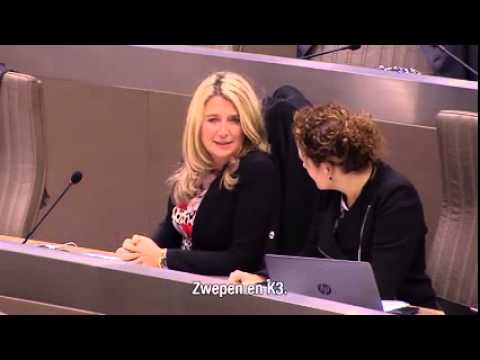 Liplezen in het Vlaams Parlement: Zwepen en K3