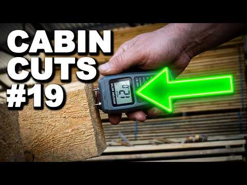 Is your Cabin Timber ready to build? Don't skip this crucial step! (Cabin Cuts #19)