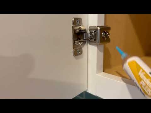 Cockroaches Hanging Out in the Kitchen in...