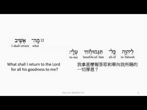 Psalm 116: Hebrew interlinear audio Bible 希伯來文聖經:詩篇第一百一十六篇