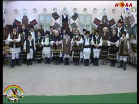 ANSAMBLUL TRANDAFIRUL DE CAIANU - Viflaim cetate sfanta