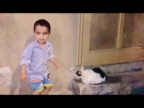 Izhan love cats..