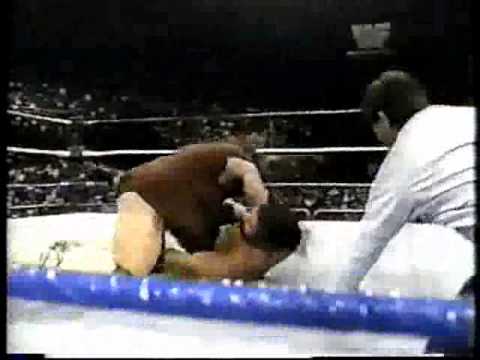 The Barbarian vs The Berzerker