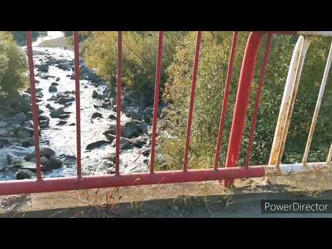 O scurtă plimbare prin Livezile, de la Primărie până la ieșire, spre Dorolea 🚖🚦💯♿...