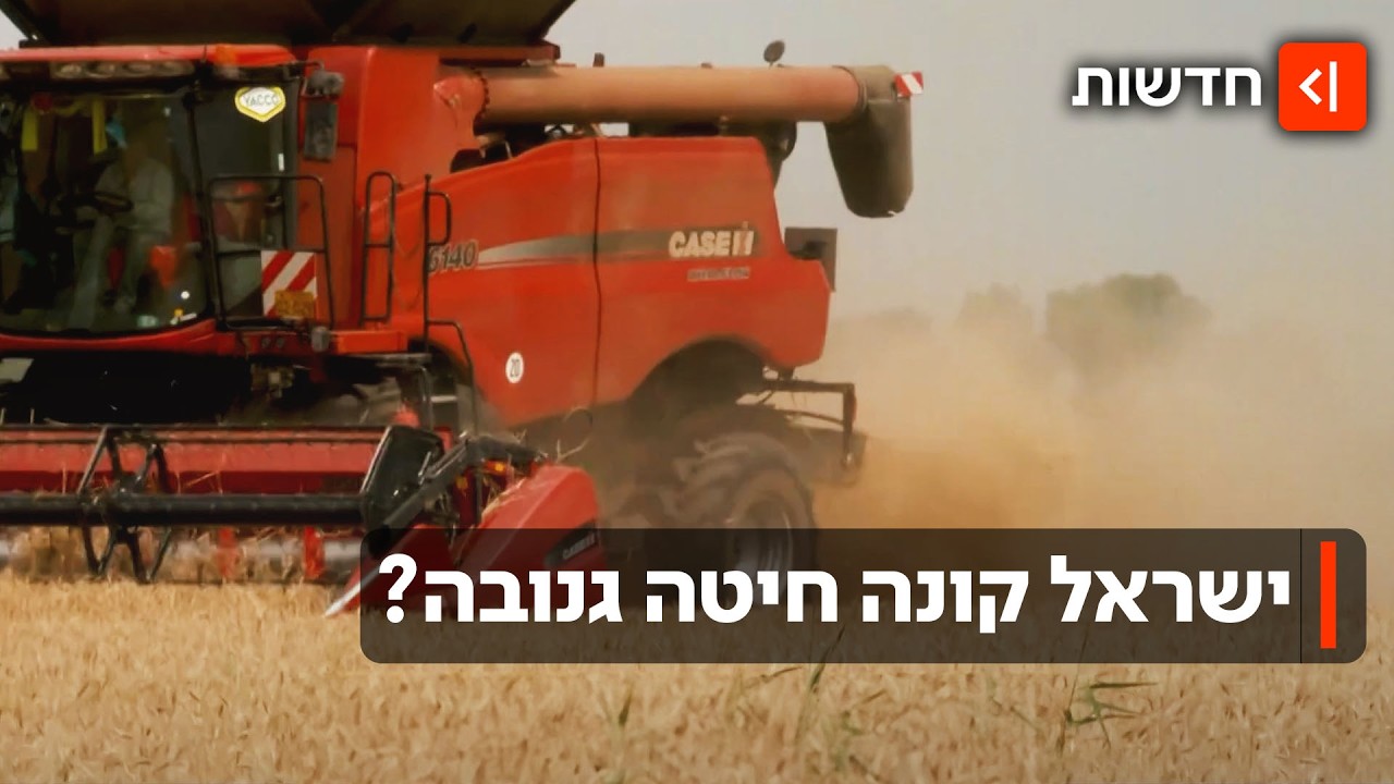 גנבו את חיטת הרש? אוקראינה מאשימה את ישראל ברכישת חיטה גנובה מרוסיה