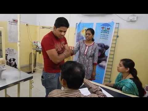 Compassionate Crusader's Center for Animal Welfare_Vaccination