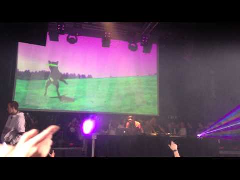 KTO DJ? - VIVA NIGHTS 2013