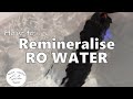 Preparing Ro Water For Freshwater Aquarium