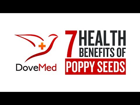 download lagu mp3 mp4 Poppy Seed Nutrition Data, download lagu Poppy Seed Nutrition Data gratis, unduh video klip Poppy Seed Nutrition Data