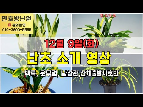 유튜브 썸네일