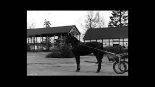 Stay Dumb Chris Spedding