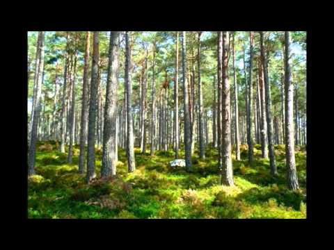 Christ's Eternal Bride - February 21, 2016