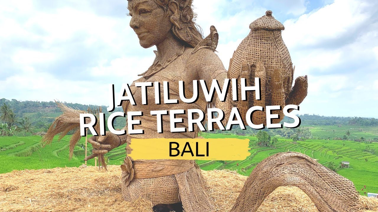 Experience the serenity of Jatiluwih rice fields through lens of traveler.