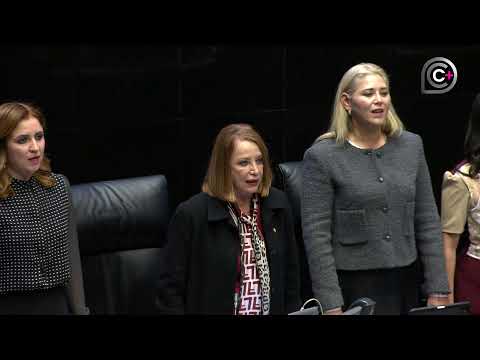 Sesión de la Cámara de Senadores, del 10 de diciembre de 2025