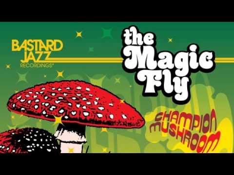 The Magic Fly - Play That Funky Reggae (JStar Remix)