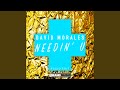 David Morales - Needin U - Radio Edit