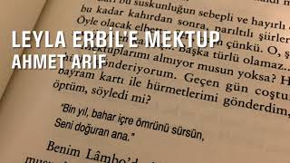 Leyla Erbil’e Mektup AHMET ARİF