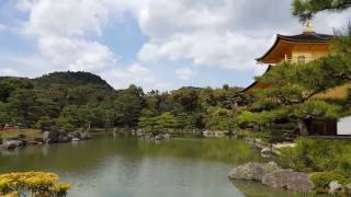 Visit the Beauty of the Golden Pavilion Garden