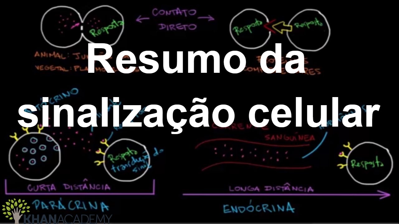 Resumo da sinalização celular | Sinalização celular | Biologia | Khan Academy