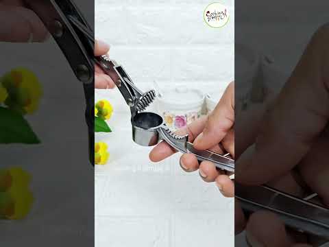 Stainless Steel Garlic Crusher