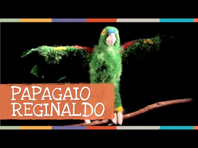 Pronunție video a papagaio în Portugheză