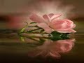 SOMEWHERE IN MY LIFETIME - (Lyrics)
