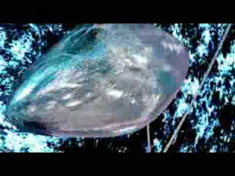 Freestyle Project - Feel Da Groove