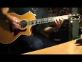 Pink - Who knew Guitar acoustic cover 