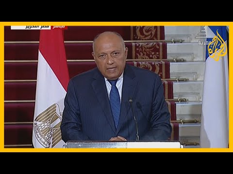 وزير الخارجية المصري ينفي اتهام النظام لأي صحفي بسبب آرائه