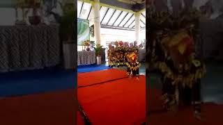 Download lagu Tari kucing belang telon mp3