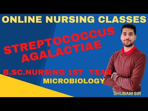 Streptococcus Agalactiae II B Sc Nursing 1st  II Microbiology II Shubam Sir II