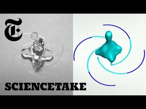 物理学の常識を覆しそうな回転する水滴｜ScienceTake (Spinning Water Droplets That Seemingly Defy Physics | ScienceTake)