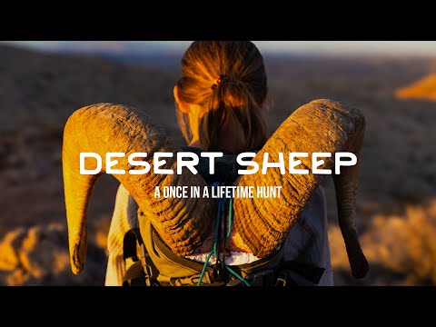 Desert Sheep: A Mountain Project Short Film