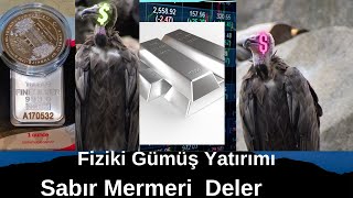 Değerli Maden Yatırımı, Fiziki Altın ve Gümüş Nasıl Alınır, Koleksiyon