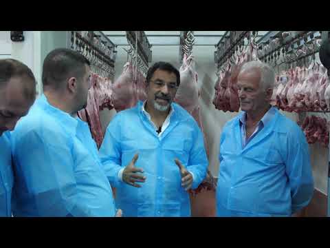 Ministri Çuçi në Lezhë: I dhamë fund batërdisë me therjen e kafshëve në rrugë