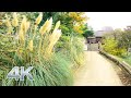 【4k】walk in tokyo shibuya daikanyama 渋谷から代官山まで