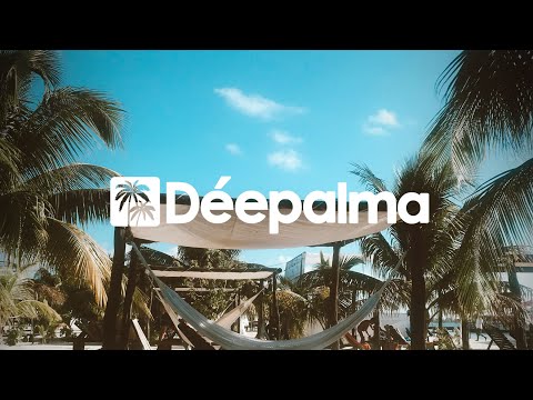 Andre Rizo - The Sun Will Never Go Down (Meines Remix) [Déepalma Records]